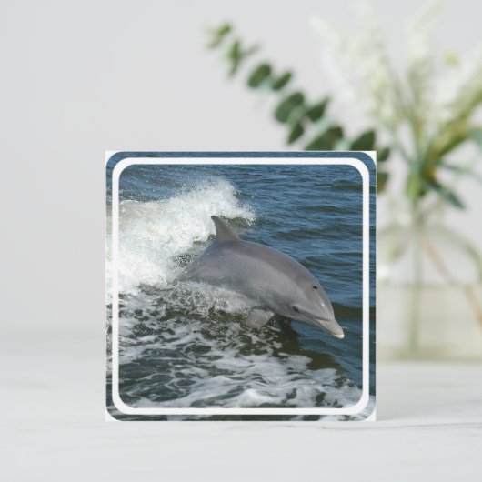 Wild Dolphin Uitnodiging (Staand voorkant)