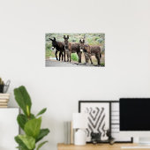 Wild Donkey Trio Poster Print (Thuiskantoor)