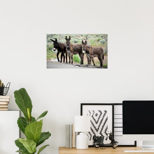 Wild Donkey Trio Poster Print (Thuiskantoor)