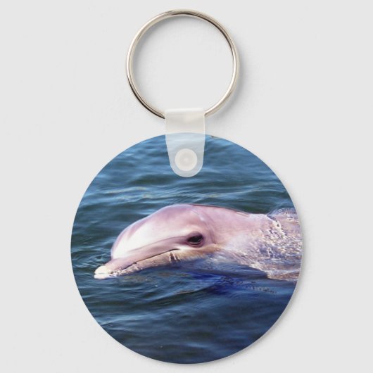 Wild Dophin Sleutelhanger (Voorkant)