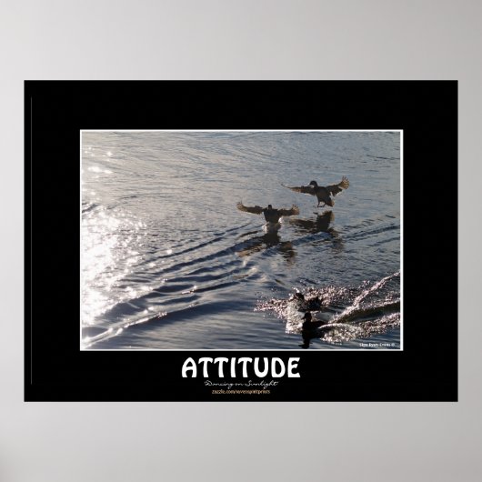 Wild Duck ATTITUDE Motivatie Natuur Foto afdrukken Poster (Voorkant)