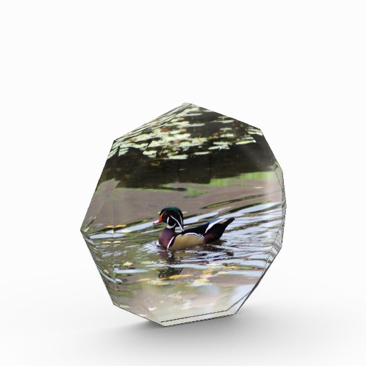 Wild Duck fotoblok (Links)