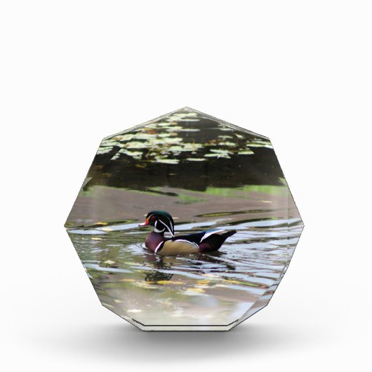 Wild Duck fotoblok (Voorkant)