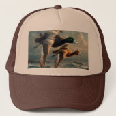 Wild Duck Pet (Voorkant)