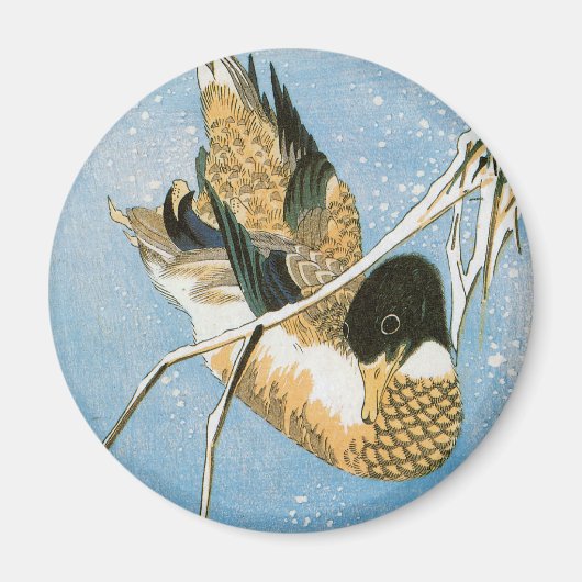 Wild Duck Swimming Snow Laden Reeds door Hiroshige Magneet (Voorkant)