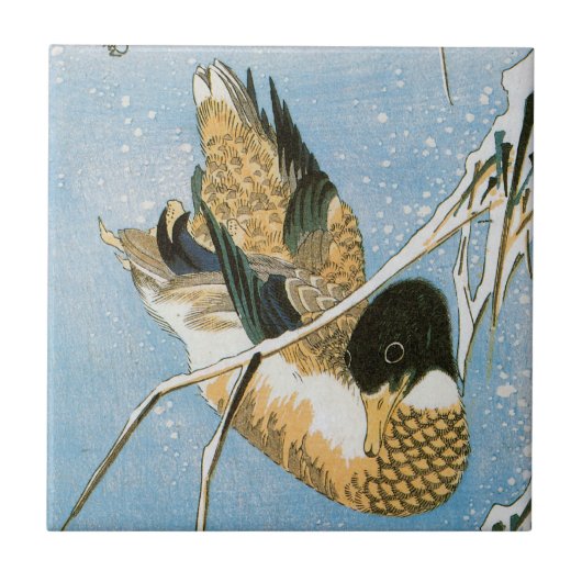 Wild Duck Swimming Snow Laden Reeds door Hiroshige Tegeltje (Voorkant)