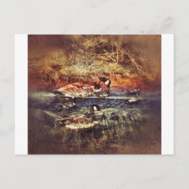 Wild Ducks Briefkaart