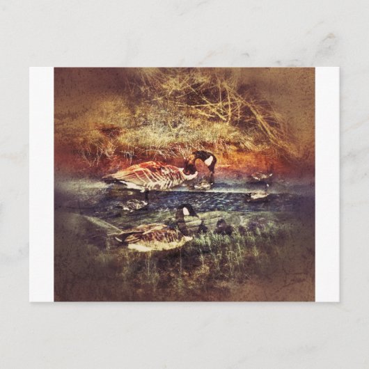 Wild Ducks Briefkaart (Voorkant)