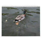 Wild Ducks Calendar 2022 Kalender (Hoes)