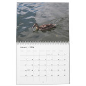 Wild Ducks Calendar 2022 Kalender (Jan 2026)