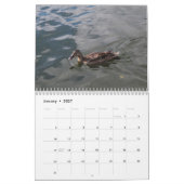Wild Ducks Calendar 2022 Kalender (Jan 2027)