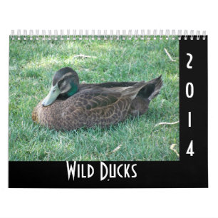 Wild Ducks Kalender