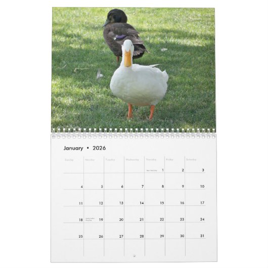 Wild Ducks Kalender (Jan 2026)
