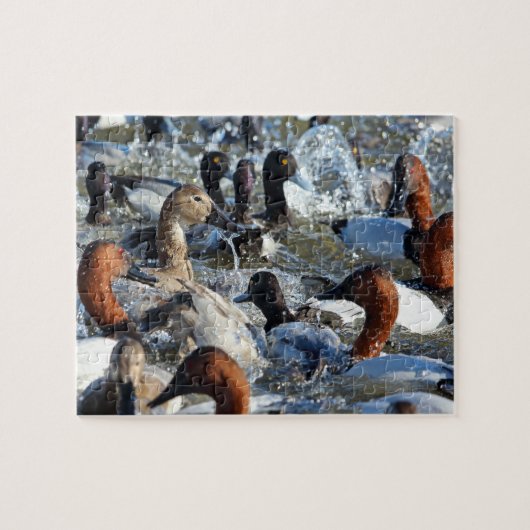 Wild Ducks Spashing Legpuzzel (Horizontaal)