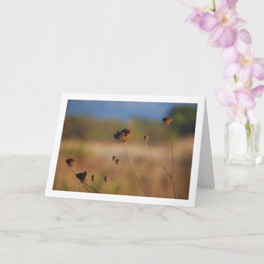 Wild Dying Flowers in Field Landscape Kaart (Orchidee)