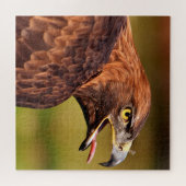 Wild Eagle Jigzaag Puzzle, 676 stuks Legpuzzel (Horizontaal)