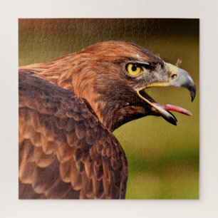 Wild Eagle Jigzaag Puzzle, 676 stuks Legpuzzel