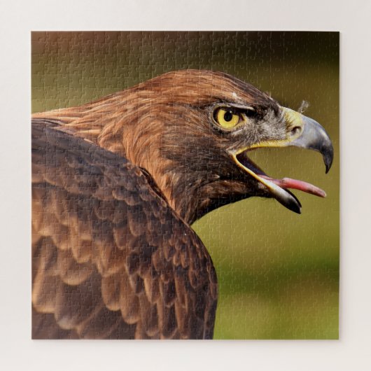 Wild Eagle Jigzaag Puzzle, 676 stuks Legpuzzel (Verticaal)