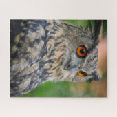 Wild Eagle Legpuzzel (Horizontaal)