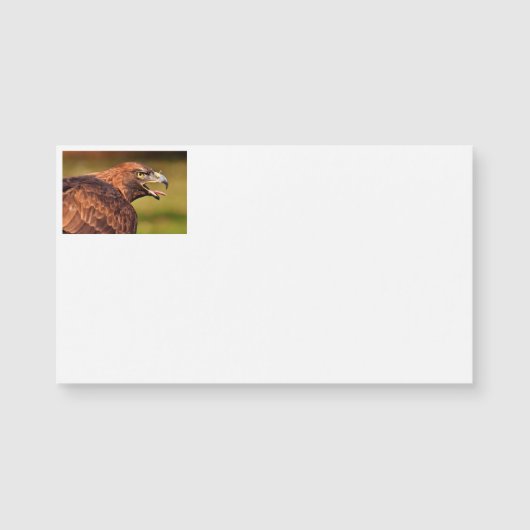 Wild Eagle Visitekaartjes (Voorkant)