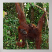 Wild Een diermoeder en baby Poster (Voorkant)