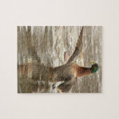 Wild-Eend Foto Puzzel (Horizontaal)