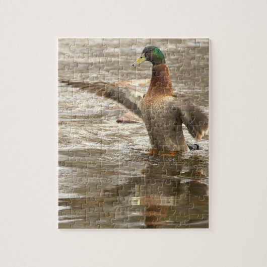 Wild-Eend Foto Puzzel (Verticaal)