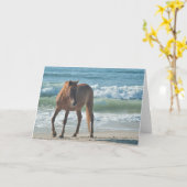 Wild eilandpaard van Assateague notakaart Kaart (Gele Bloem)