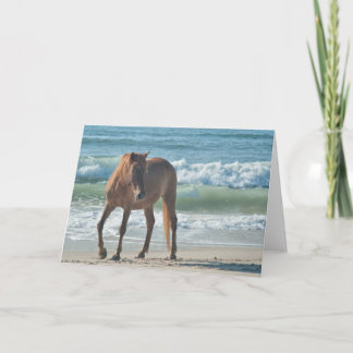 Wild eilandpaard van Assateague notakaart Kaart