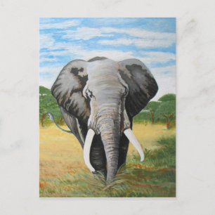 Wild Elephant Briefkaart