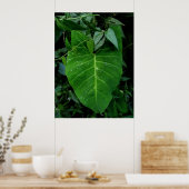 Wild Elephant Ear Poster (Keuken)