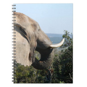 Wild Elephant Eating, Zuid-Afrika Notitieboek