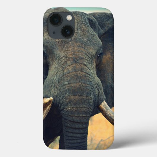Wild Elephant sluit iPad Air hoesje af (Achterkant)