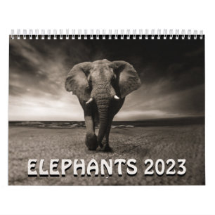 Wild Elephants Calendar Kalender
