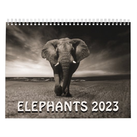 Wild Elephants Calendar Kalender (Hoes)