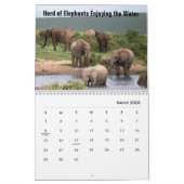 Wild Elephants Calendar Kalender (Mar 2026)