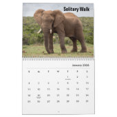 Wild Elephants Calendar Kalender (Jan 2026)