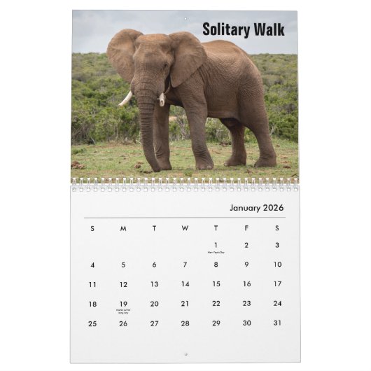 Wild Elephants Calendar Kalender (Jan 2026)