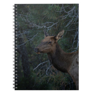 Wild Elk In Pine Forest - Deer Wildlife Photograph Notitieboek