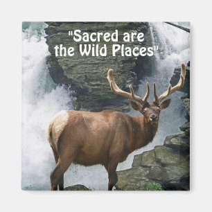 Wild Elk & Waterval Wilderness Gift Magneten