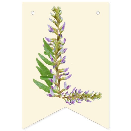 Wild en Oneerlijke Meisje Verjaardagsbanner Vlaggetjes (Derde vlag)