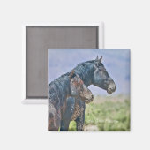 Wild en vrij, Magnet (Voorkant / Achterkant)