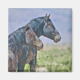 Wild en vrij, Magnet