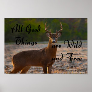 Wild en vrij, Thoreau Poster