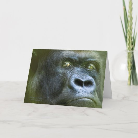 Wild Eyes - Silverback ArtCard Kaart (Voorkant)