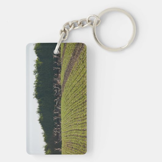 Wild Fallow Deer Key Ring Sleutelhanger (achterkant)