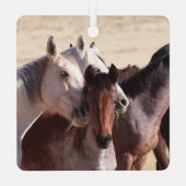 Wild Family Love Metalen Ornament (Achterkant)