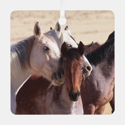 Wild Family Love Metalen Ornament (Voorkant)