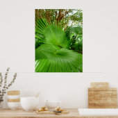 Wild Fan Palms Poster (Keuken)