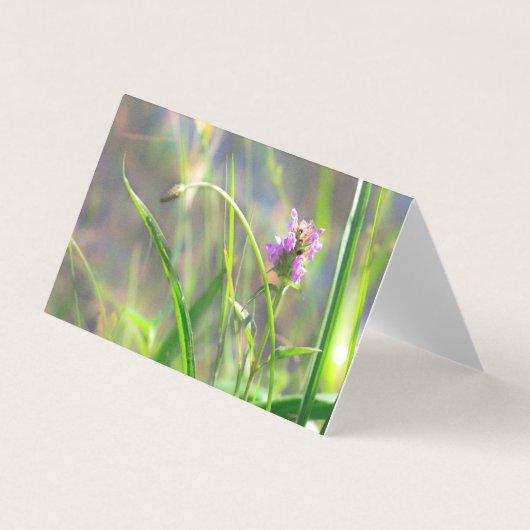 Wild Field Grass - Violet Blossom Folded Kaart (Voorkant)